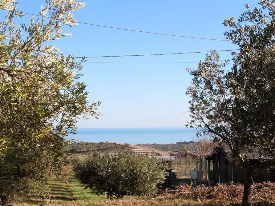 Immagine 5 di Terreno residenziale in vendita  in via Aldo Moro a Cupello