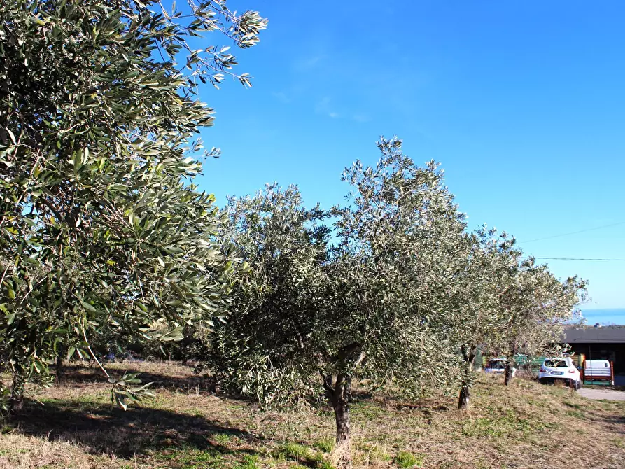 Immagine 6 di Terreno residenziale in vendita  in via Aldo Moro a Cupello
