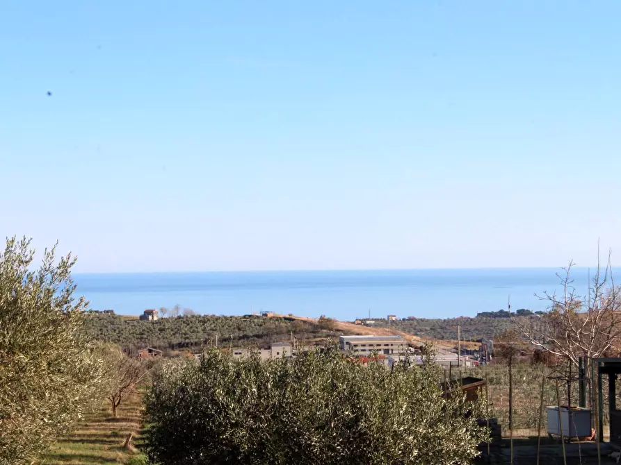 Immagine 2 di Terreno residenziale in vendita  in via Aldo Moro a Cupello