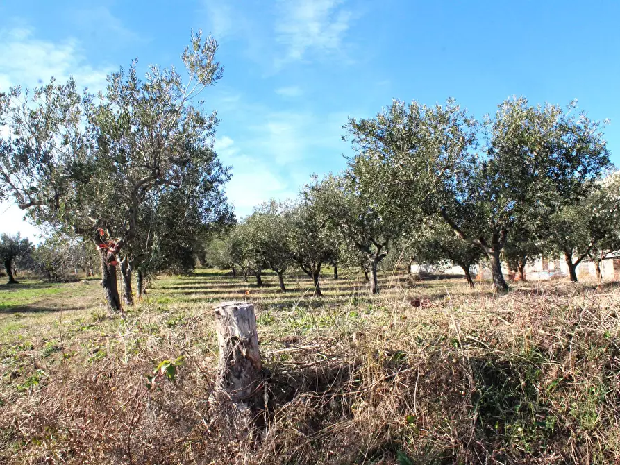 Immagine 11 di Terreno residenziale in vendita  in via Aldo Moro a Cupello