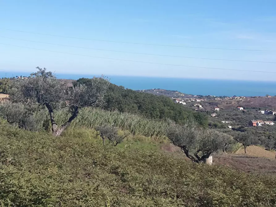 Immagine 1 di Villa in vendita  in Via Marruccina a Cupello