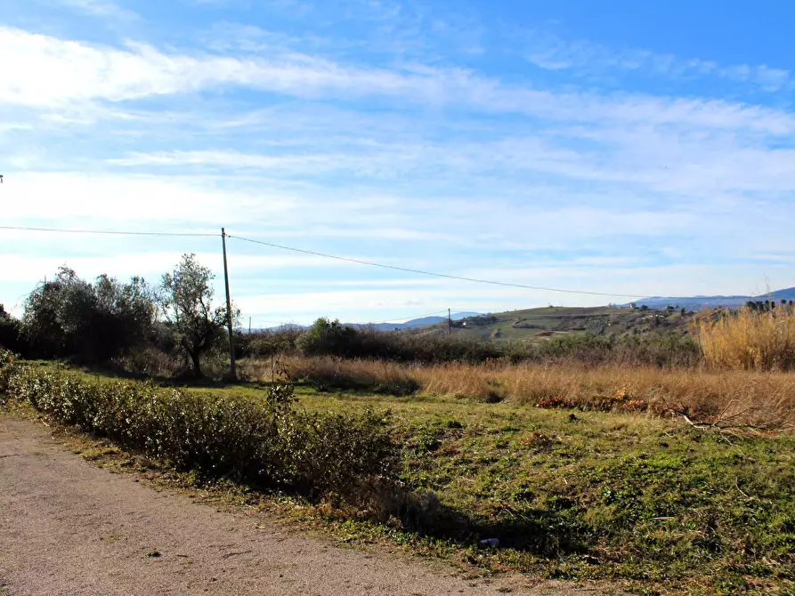 Immagine 5 di Terreno residenziale in vendita  in Via Aldo Moro a Cupello