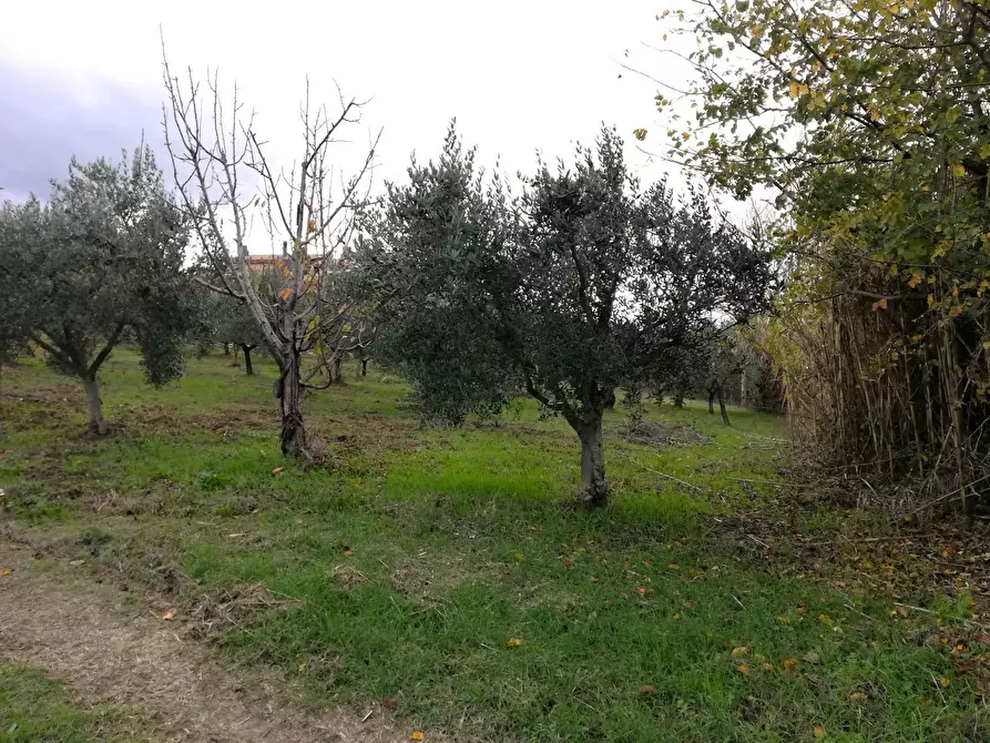 Immagine 2 di Terreno residenziale in vendita  in Aragona a Cupello