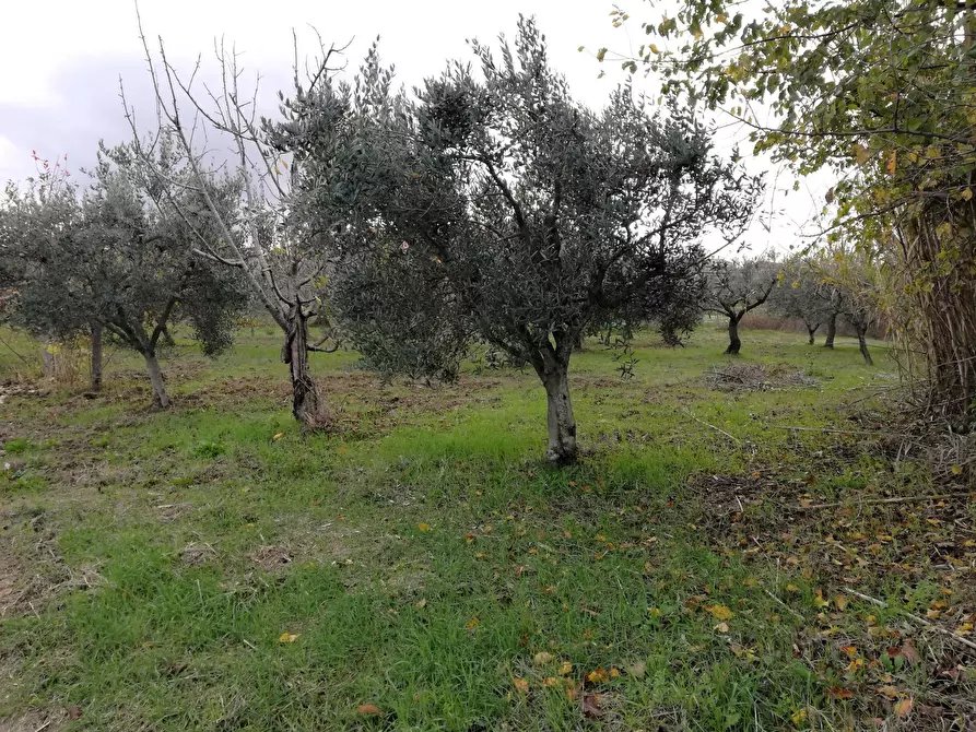 Immagine 3 di Terreno residenziale in vendita  in Aragona a Cupello