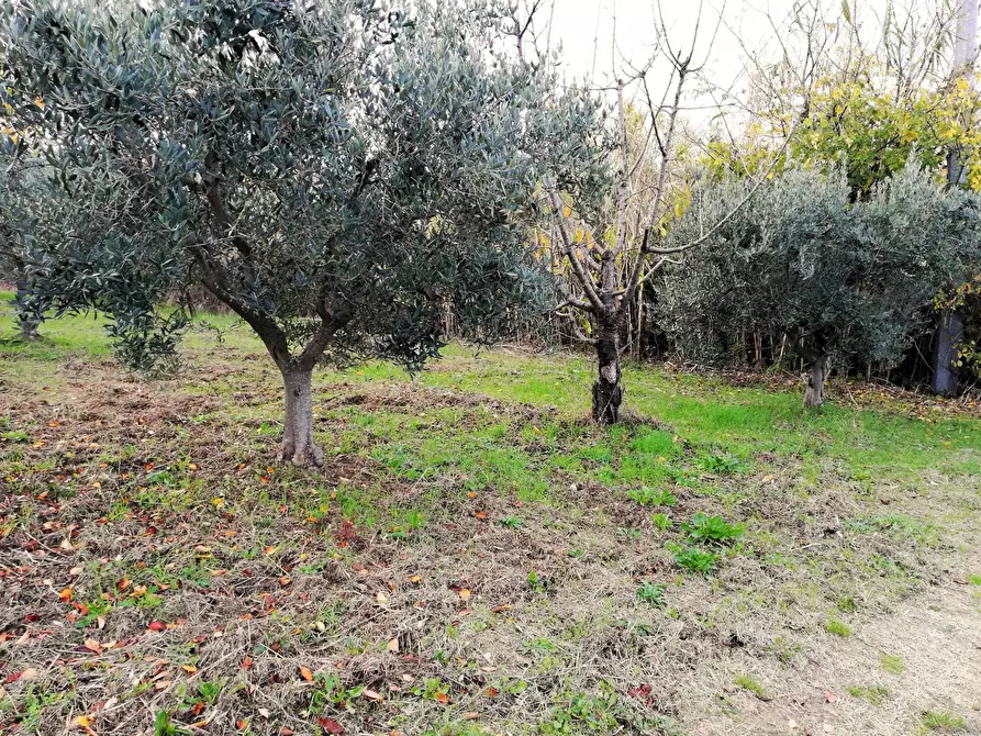 Immagine 4 di Terreno residenziale in vendita  in Aragona a Cupello