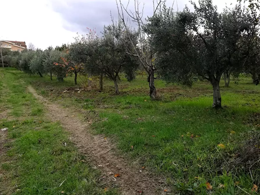 Immagine 6 di Terreno residenziale in vendita  in Aragona a Cupello