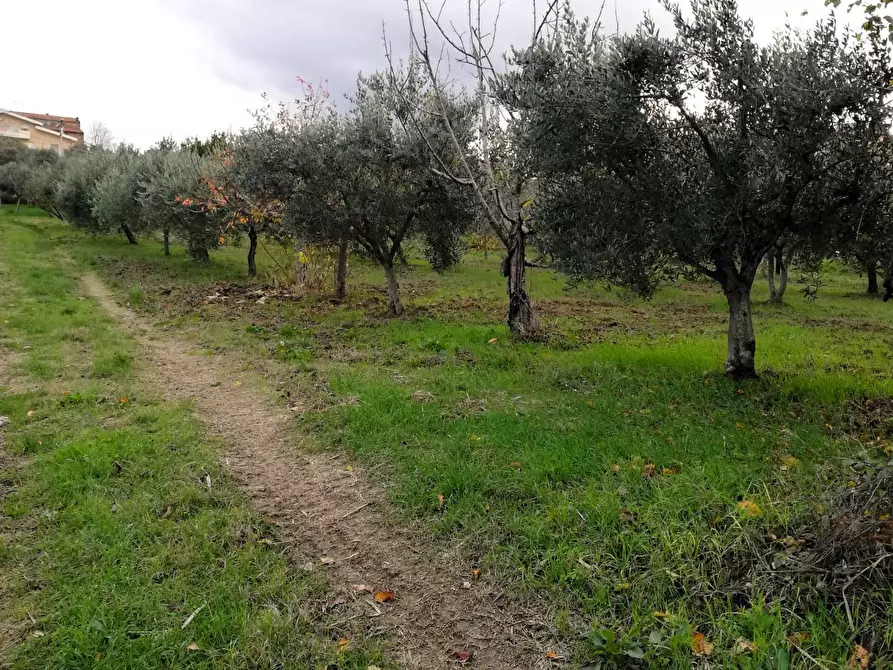 Immagine 7 di Terreno residenziale in vendita  in Aragona a Cupello