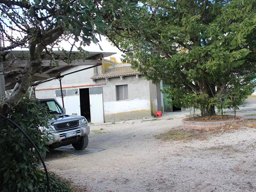 Immagine 58 di Casa indipendente in vendita  in Contrada Reale 1 a Cupello