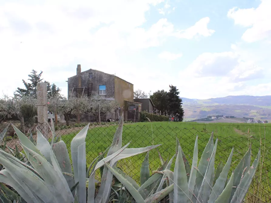 Immagine 59 di Casa indipendente in vendita  in Contrada Reale 1 a Cupello