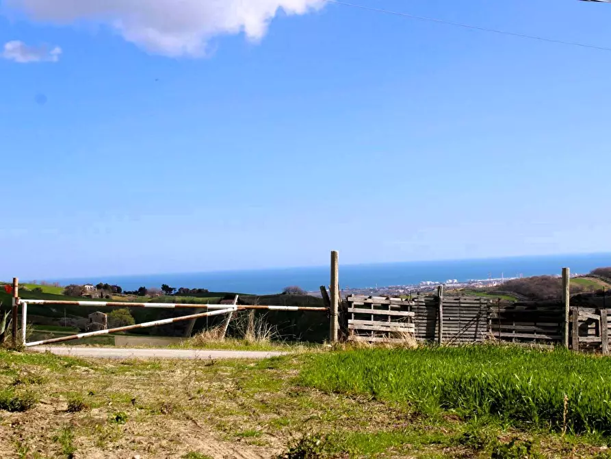 Immagine 5 di Casa indipendente in vendita  in Contrada Reale 1 a Cupello