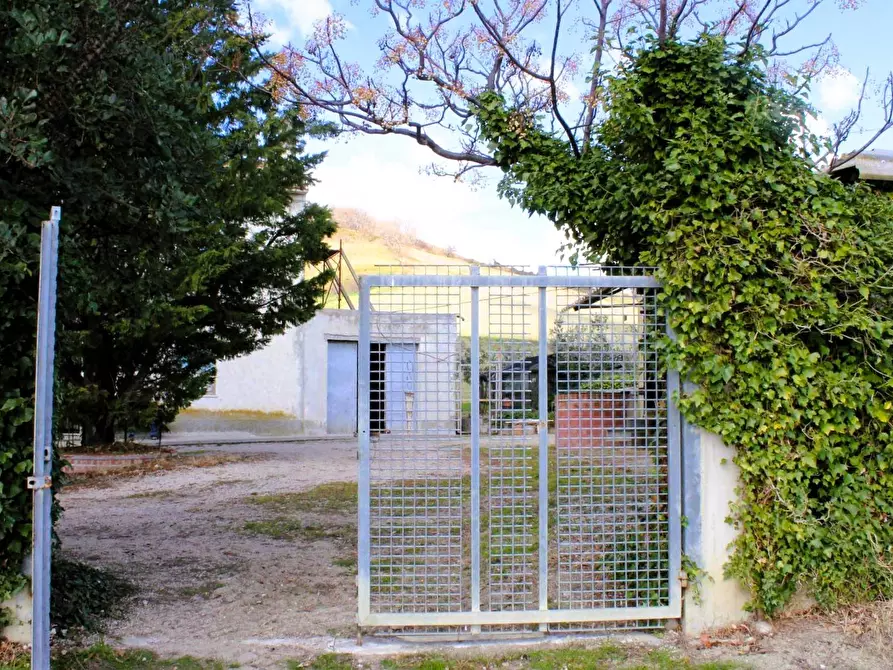 Immagine 9 di Casa indipendente in vendita  in Contrada Reale 1 a Cupello