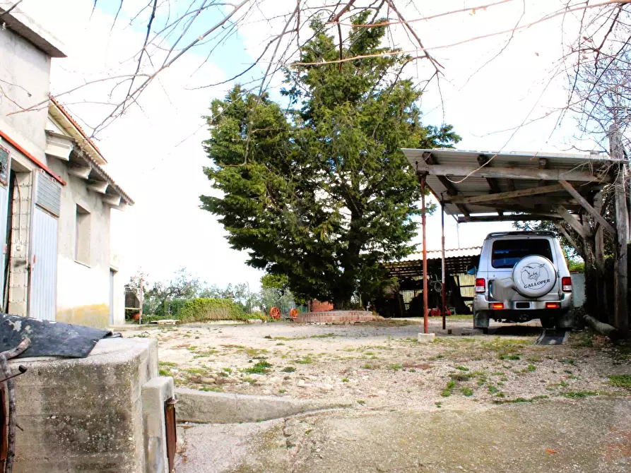 Immagine 12 di Casa indipendente in vendita  in Contrada Reale 1 a Cupello