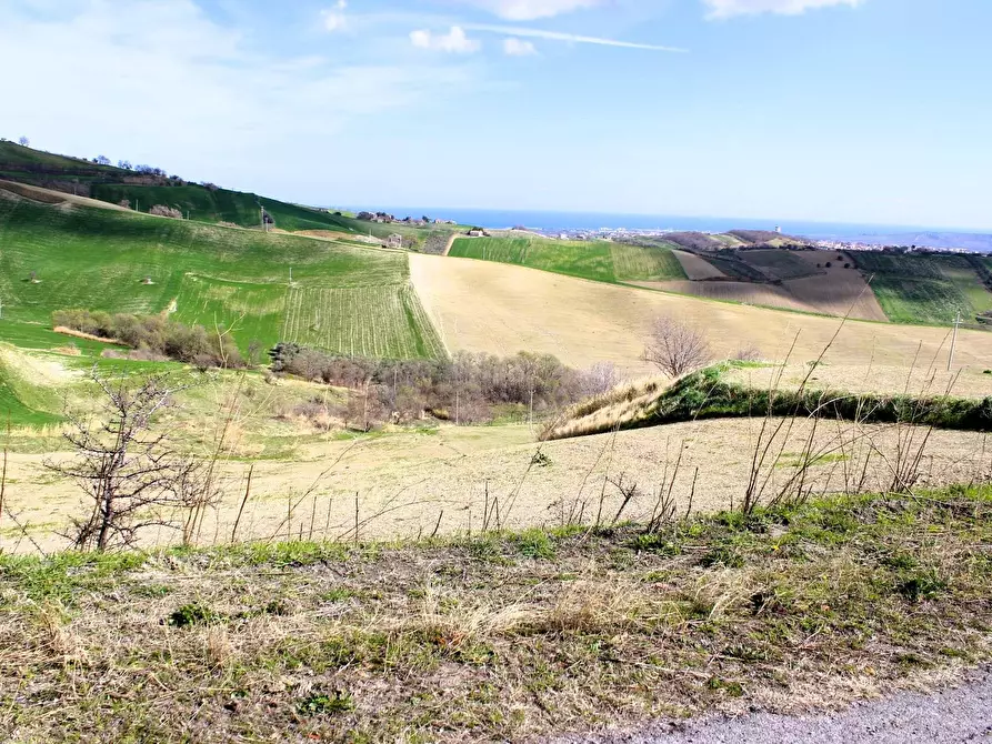 Immagine 47 di Casa indipendente in vendita  in Contrada Reale 1 a Cupello