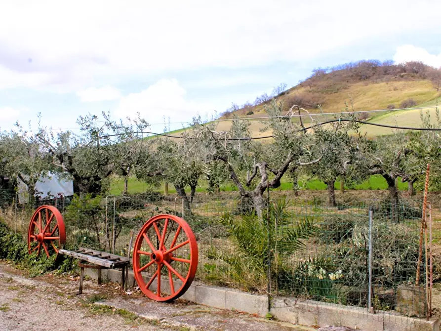 Immagine 53 di Casa indipendente in vendita  in Contrada Reale 1 a Cupello