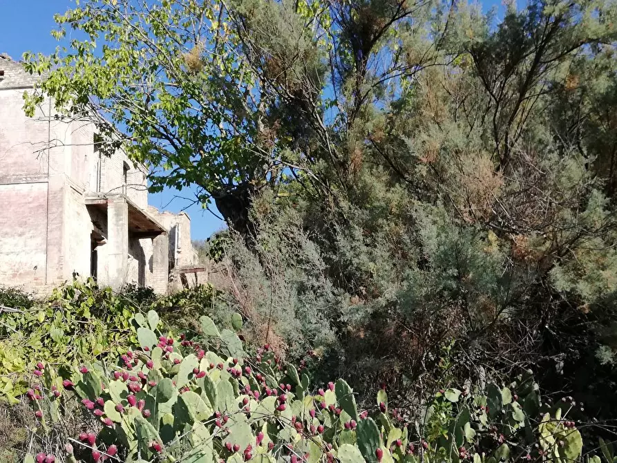 Immagine 22 di Rustico / casale in vendita  in contrada Tratturo a Carunchio
