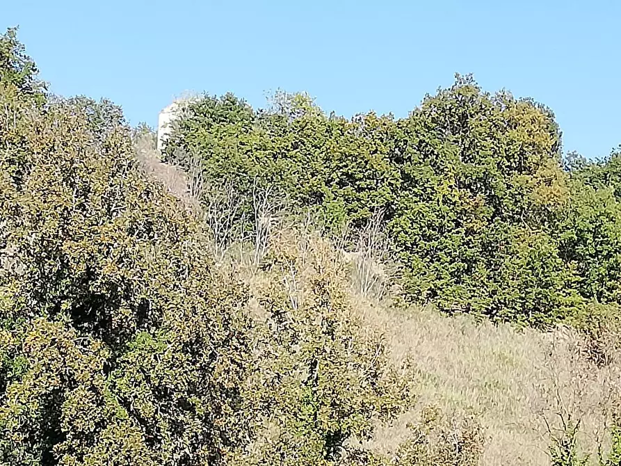 Immagine 24 di Rustico / casale in vendita  in contrada Tratturo a Carunchio