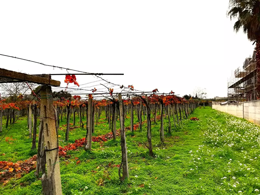Immagine 11 di Terreno residenziale in vendita  in dei Bontempi a Vasto