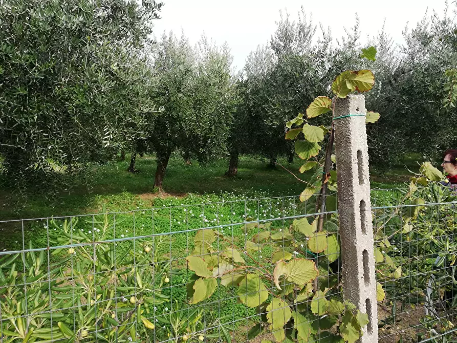 Immagine 16 di Terreno residenziale in vendita  in dei Bontempi a Vasto
