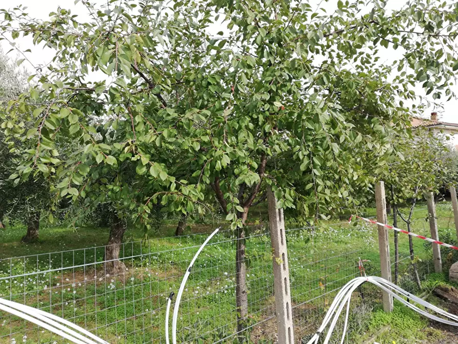 Immagine 17 di Terreno residenziale in vendita  in dei Bontempi a Vasto