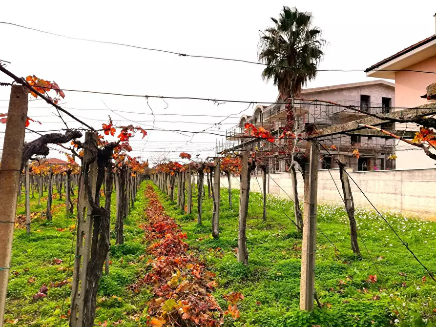 Immagine 5 di Terreno residenziale in vendita  in dei Bontempi a Vasto