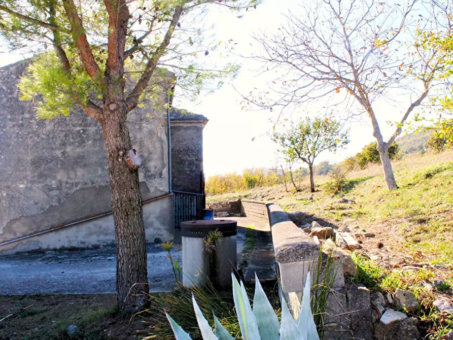 Immagine 29 di Rustico / casale in vendita  in Contrada Ciarioncia snc a Carunchio