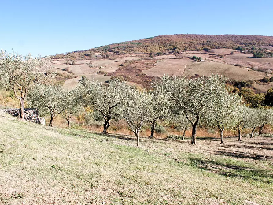 Immagine 35 di Rustico / casale in vendita  in Contrada Ciarioncia snc a Carunchio