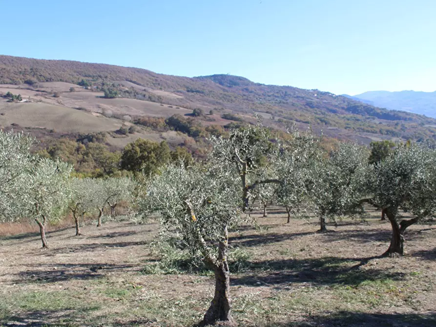 Immagine 37 di Rustico / casale in vendita  in Contrada Ciarioncia snc a Carunchio