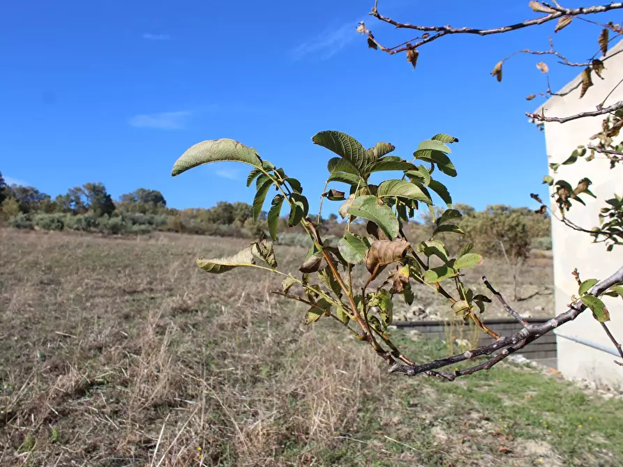 Immagine 28 di Rustico / casale in vendita  in Contrada Ciarioncia snc a Carunchio