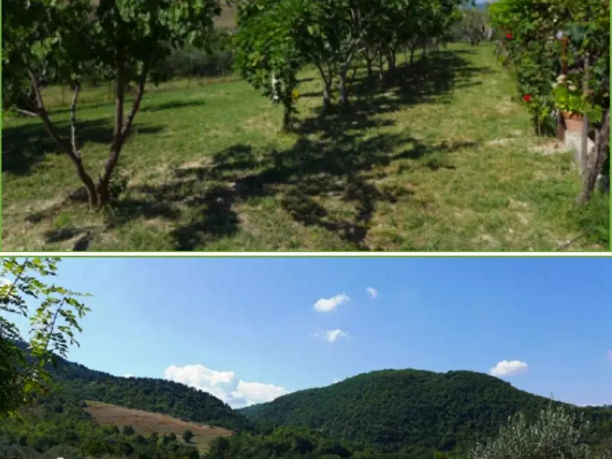 Immagine 9 di Agriturismo in vendita  in contrada Coccioleto 73 a Arielli