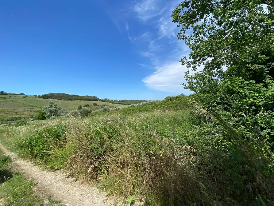 Immagine 20 di Terreno agricolo in vendita  in Contrada Strane snc a Cupello