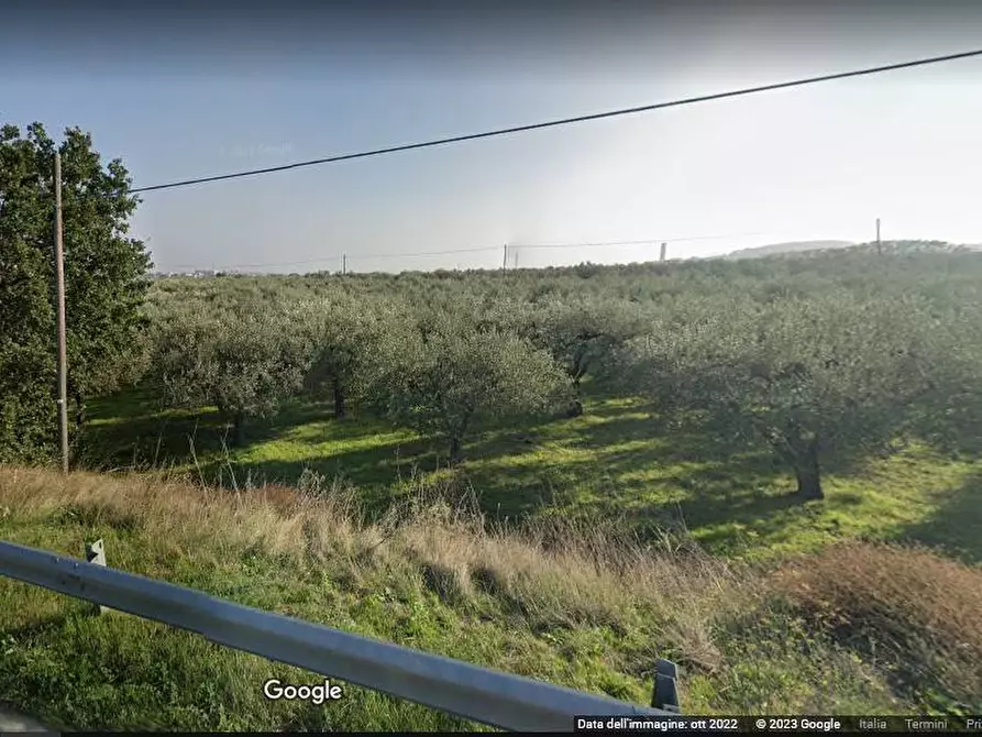 Immagine 3 di Terreno agricolo in vendita  in Polercia a Vasto
