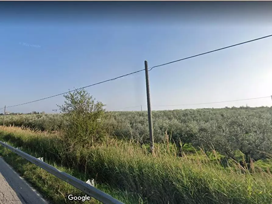 Immagine 1 di Terreno agricolo in vendita  in Polercia a Vasto