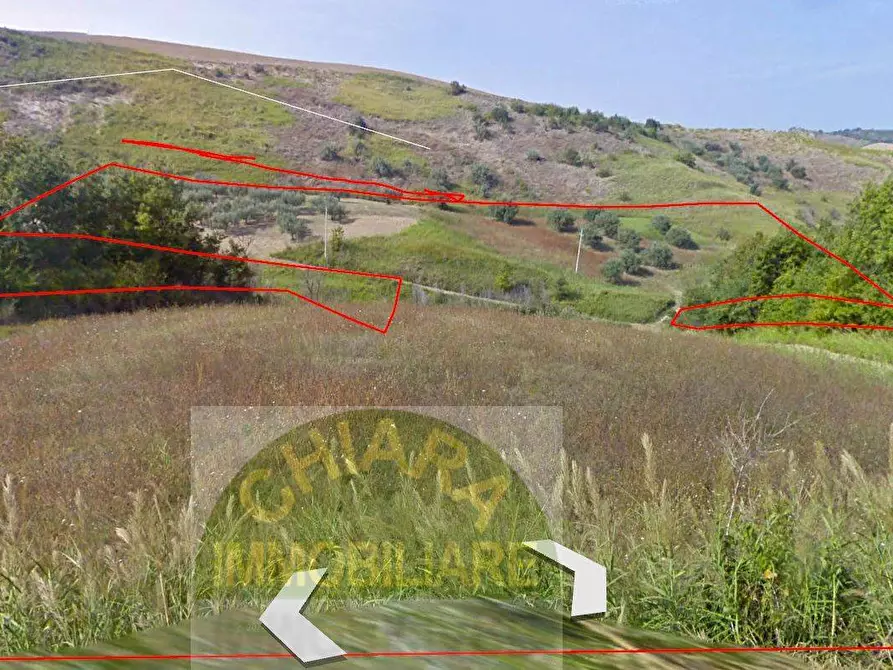 Immagine 3 di Terreno agricolo in vendita  in c.da Ramignano / Strampanato a Cupello