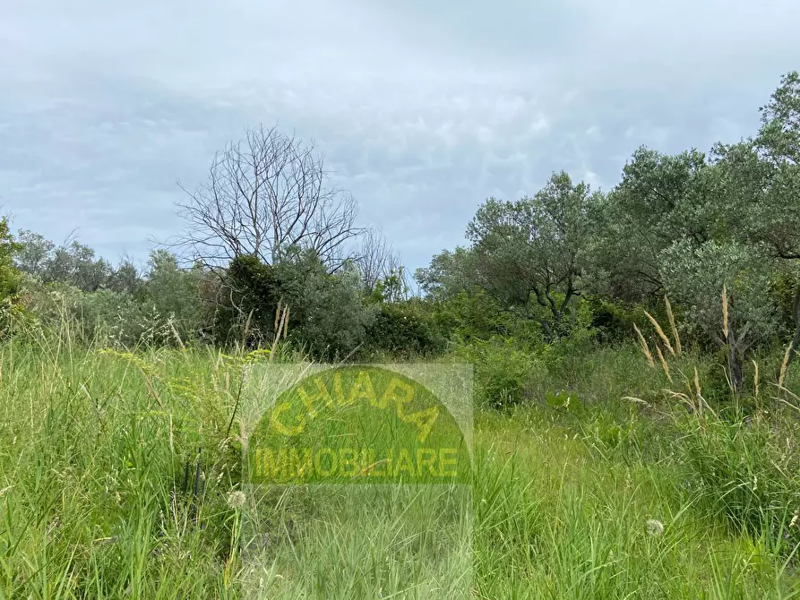 Immagine 10 di Rustico / casale in vendita  in Strada statale Istonia snc a Cupello