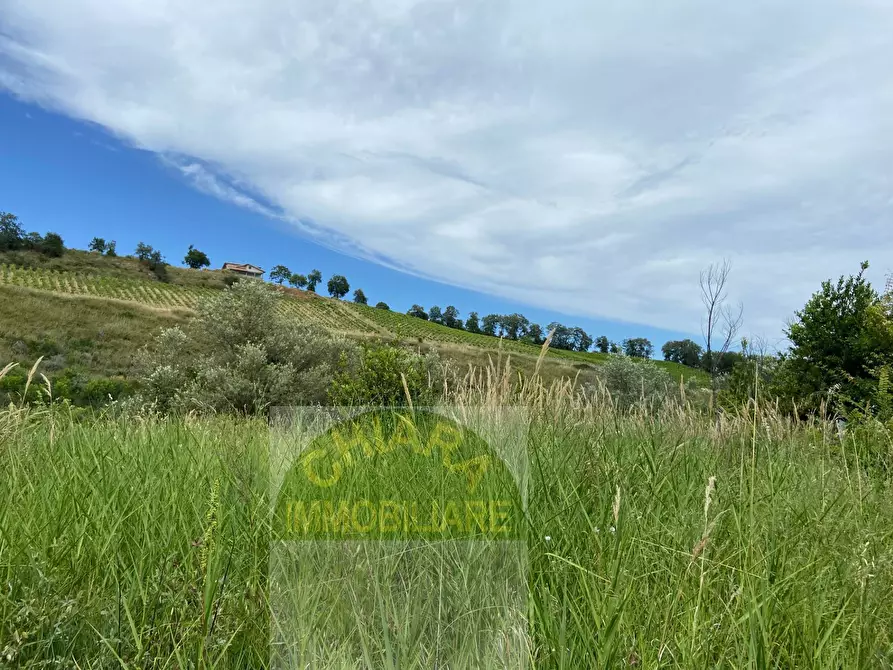 Immagine 4 di Rustico / casale in vendita  in Strada statale Istonia snc a Cupello