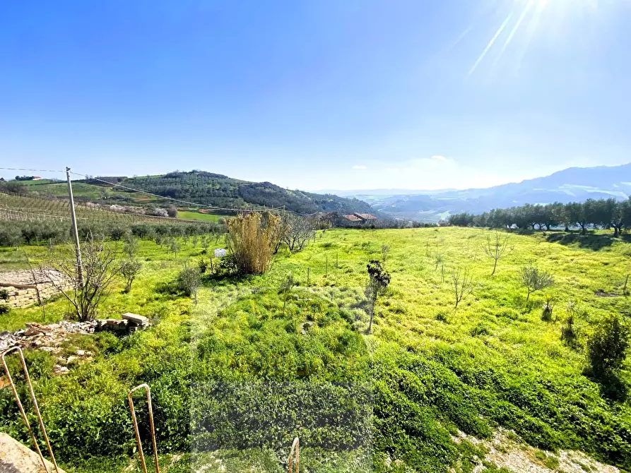 Immagine 21 di Villa in vendita  in Contrada Montalfano 26 a Cupello