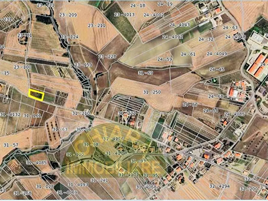 Immagine 3 di Terreno agricolo in vendita  in Contrada Montalfano a Cupello