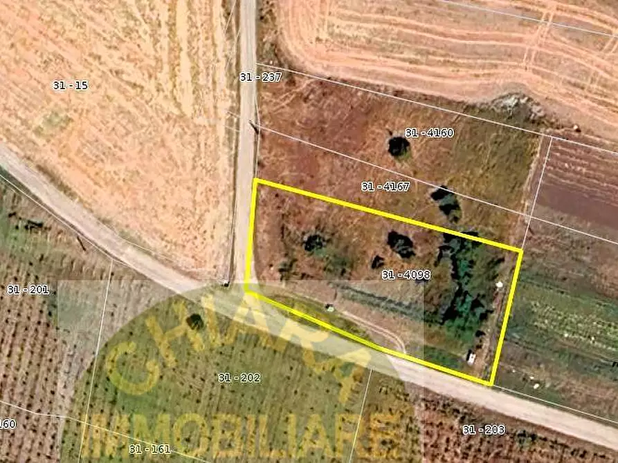 Immagine 2 di Terreno agricolo in vendita  in Contrada Montalfano a Cupello