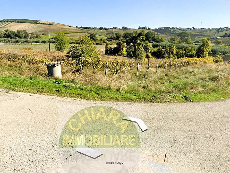 Immagine 1 di Terreno agricolo in vendita  in Contrada Montalfano a Cupello