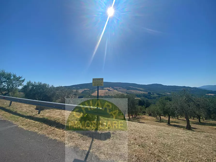 Immagine 40 di Rustico / casale in vendita  in Contrada Ciarioncia snc a Carunchio