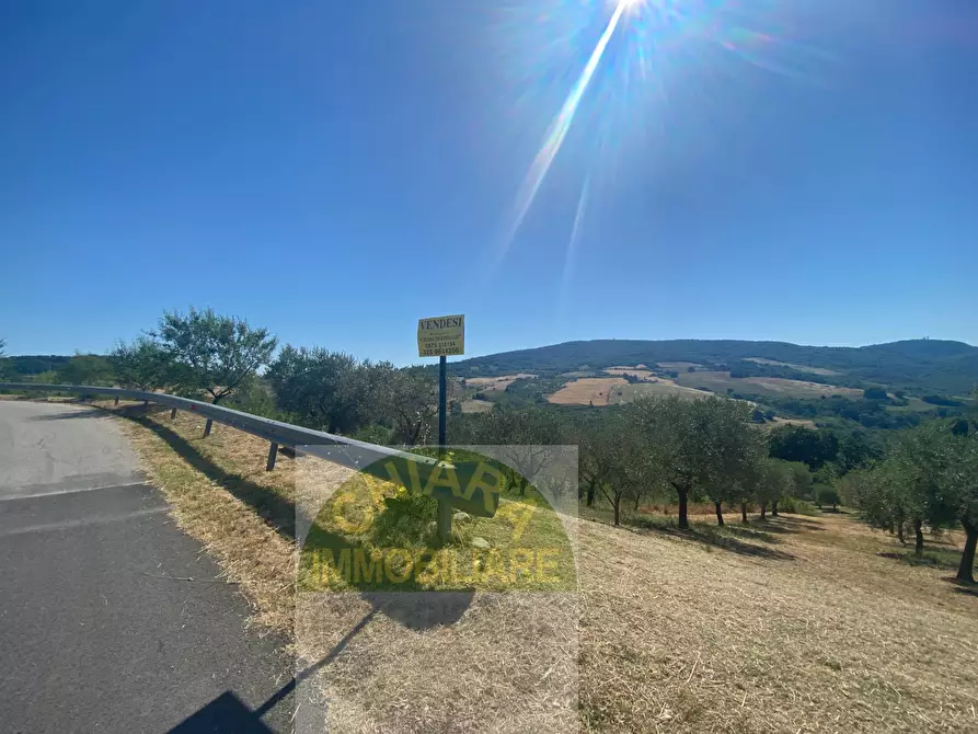 Immagine 41 di Rustico / casale in vendita  in Contrada Ciarioncia snc a Carunchio