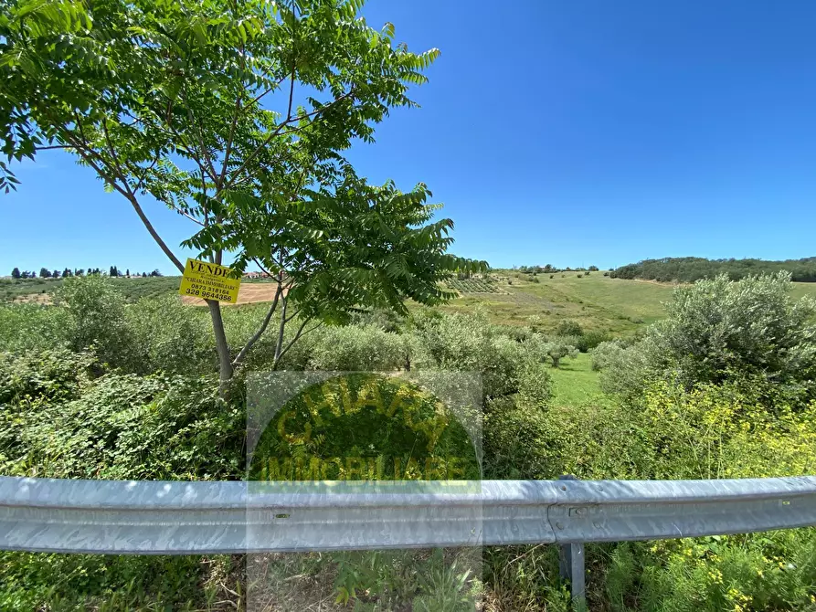 Immagine 7 di Terreno agricolo in vendita  in Contrada Strane snc a Cupello