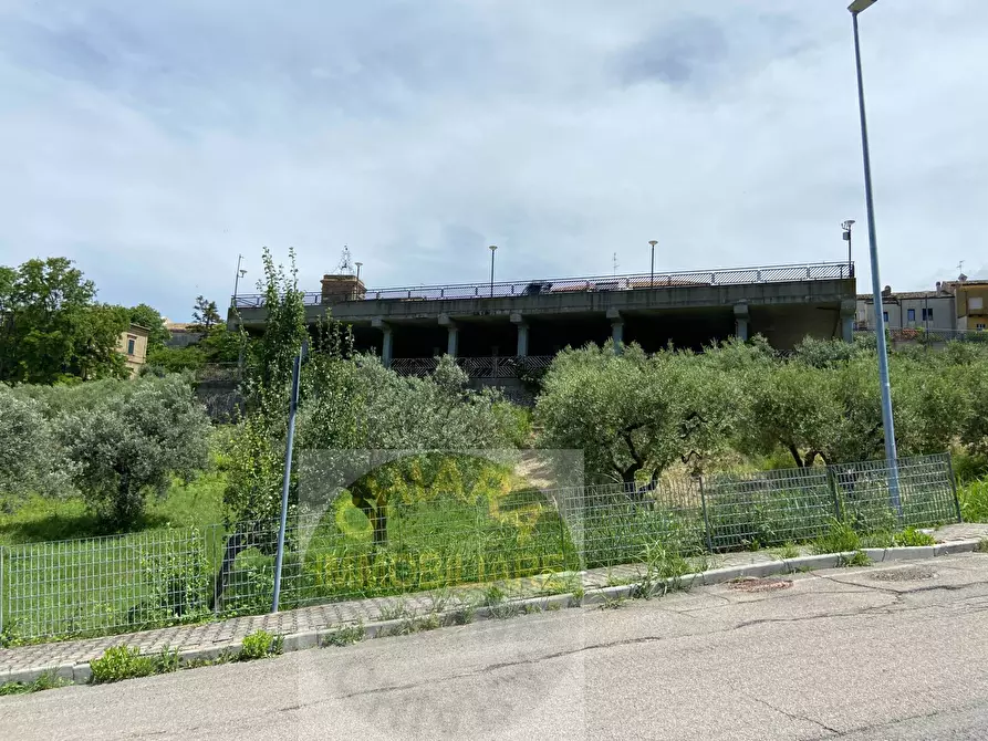 Immagine 9 di Terreno agricolo in vendita  in Contrada Strane snc a Cupello
