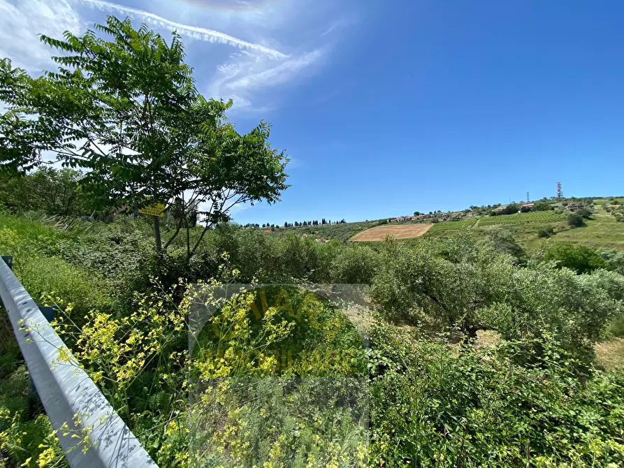 Immagine 10 di Terreno agricolo in vendita  in Contrada Strane snc a Cupello