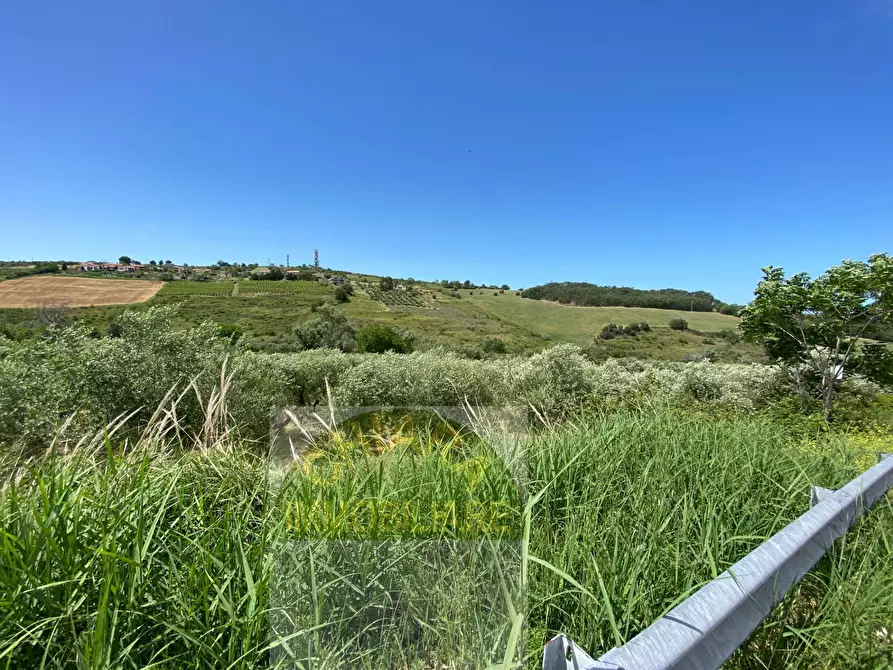 Immagine 12 di Terreno agricolo in vendita  in Contrada Strane snc a Cupello