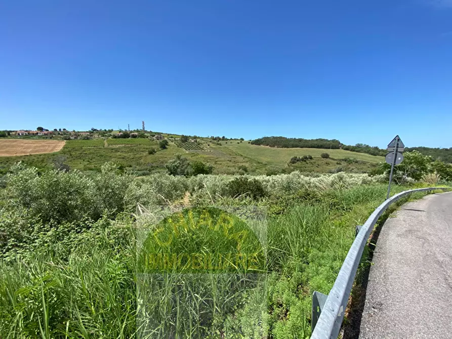 Immagine 13 di Terreno agricolo in vendita  in Contrada Strane snc a Cupello