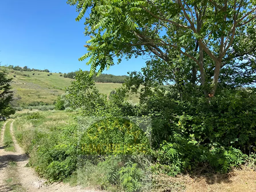 Immagine 18 di Terreno agricolo in vendita  in Contrada Strane snc a Cupello