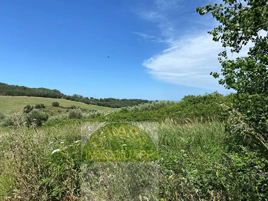 Immagine 19 di Terreno agricolo in vendita  in Contrada Strane snc a Cupello