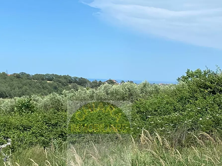 Immagine 20 di Terreno agricolo in vendita  in Contrada Strane snc a Cupello