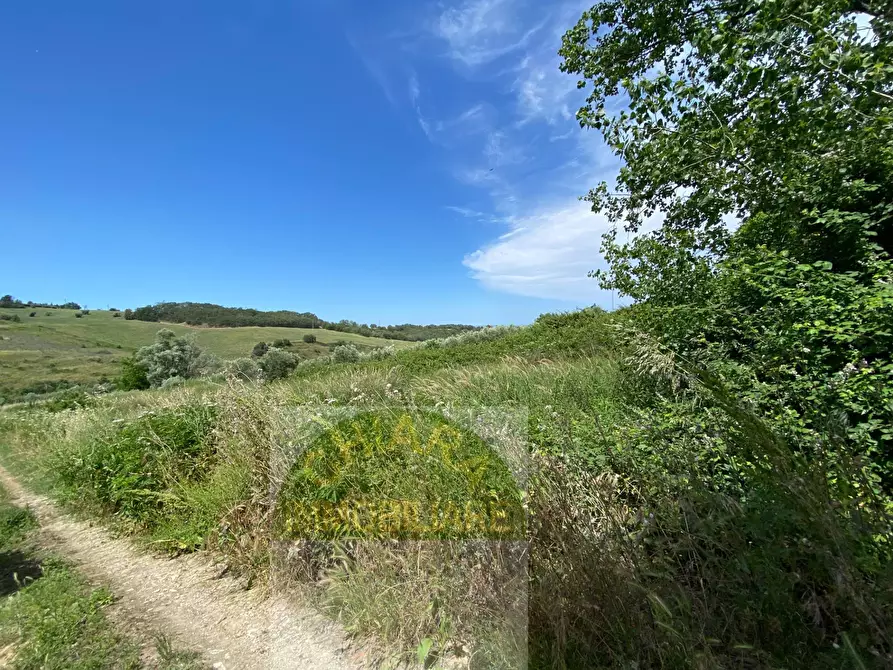 Immagine 21 di Terreno agricolo in vendita  in Contrada Strane snc a Cupello